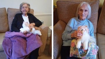 Joyful pet therapy for Resident at Stockport home